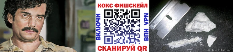 Cocaine FishScale  магазин  наркотиков  Кстово 