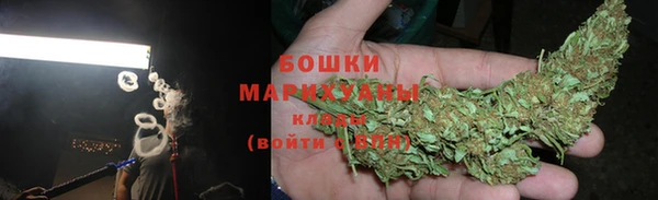 трава Магас