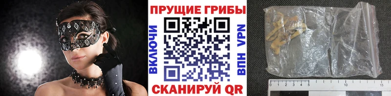 где можно купить наркотик  Кстово  Галлюциногенные грибы мицелий 
