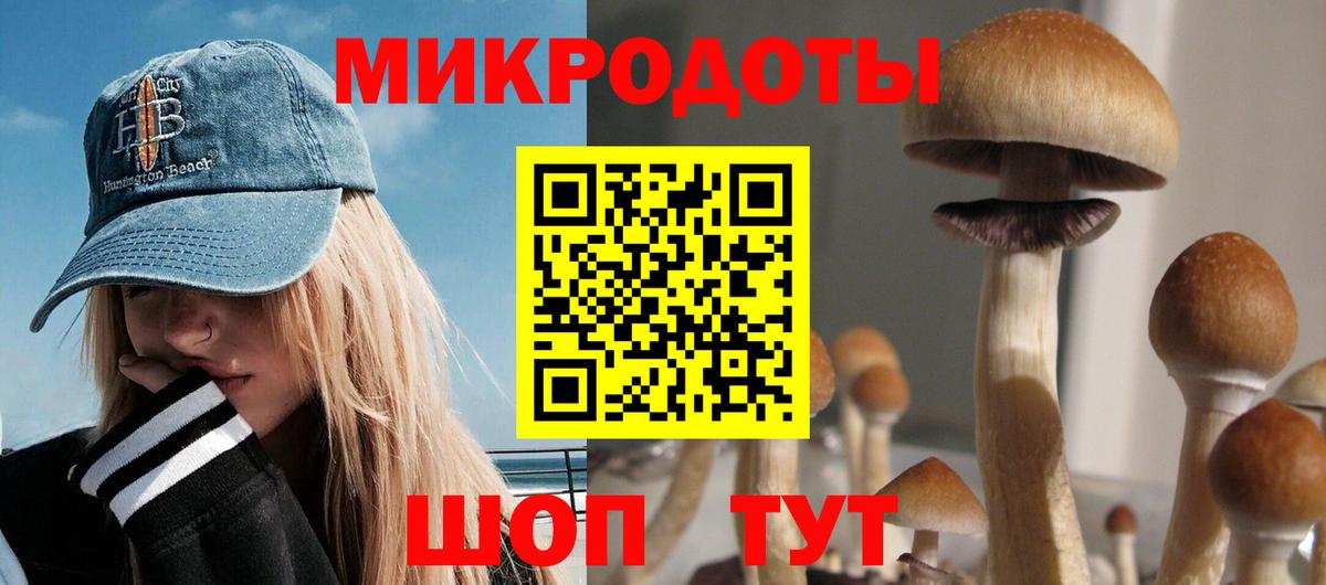 Галлюциногенные грибы Psilocybine cubensis  Галлюциногенные грибы ЛСД  Вход с VPN  магазин  наркотиков  Кстово 