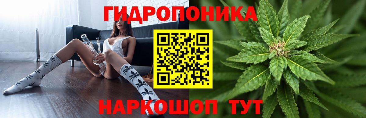 Конопля AK-47 Кстово